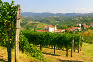 Dobrovo Castle amongst Brda vineyards