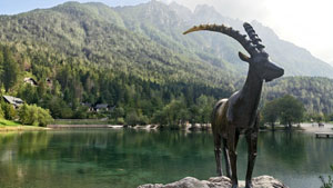 Come to Kranjska Gora, Slovenia