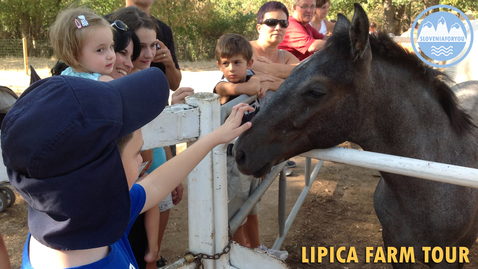 Lipica Stud Farm Tour - Sloveniaforyou