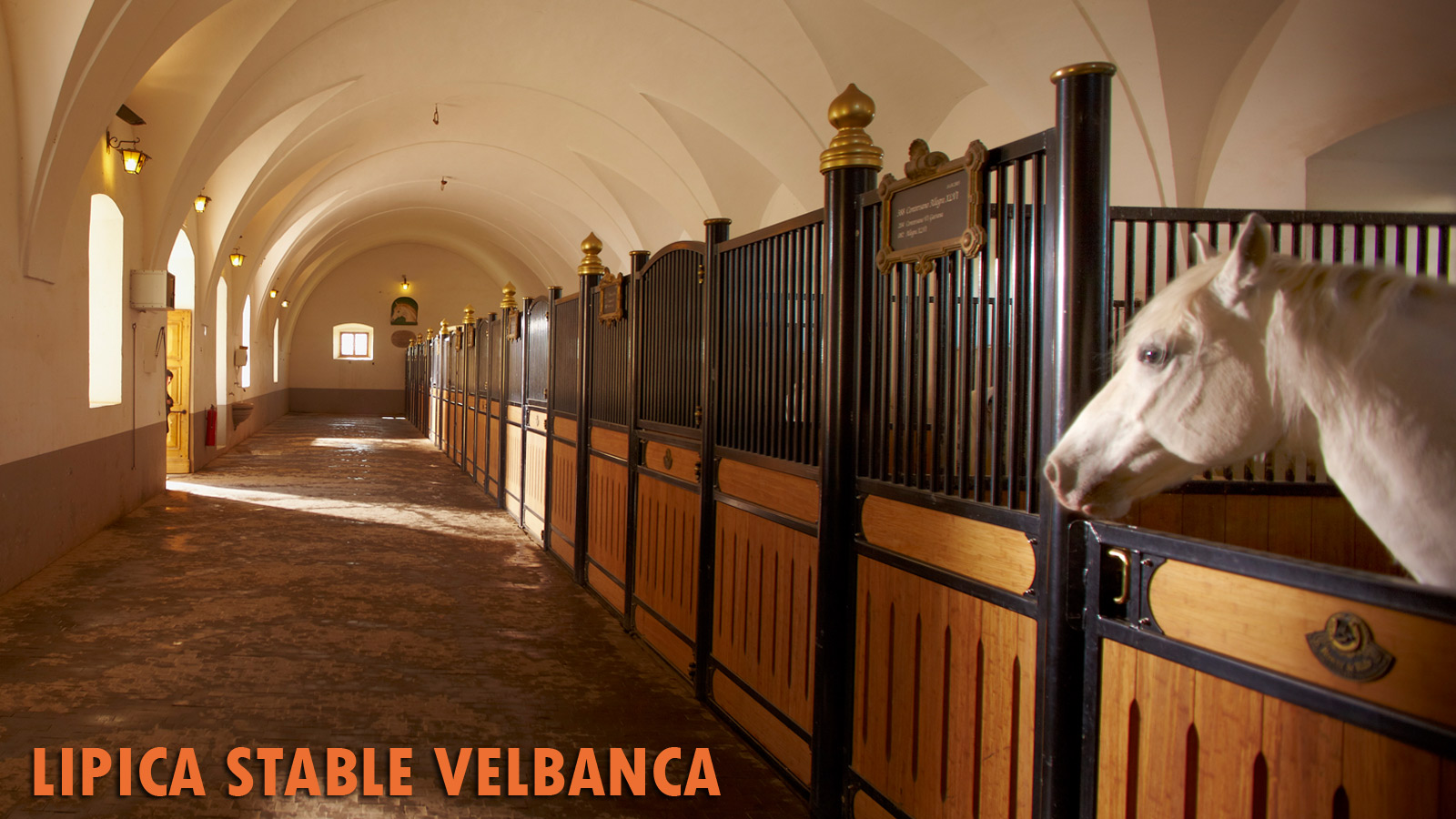 Valbanca Stables in Lipica - Sloveniaforyou