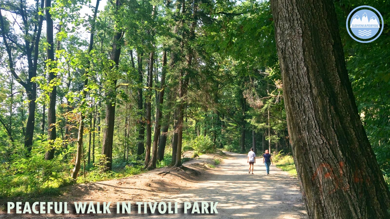 Peaceful walk in Tivoli Park Ljubljana_Sloveniaforyou