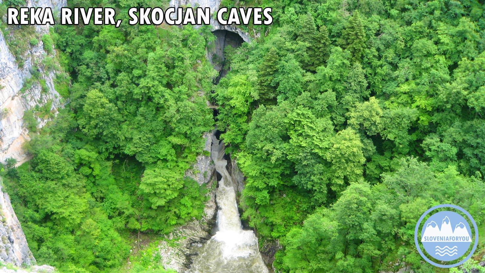 The Reka Canyon at Škocjan Caves, Sloveniaforyou