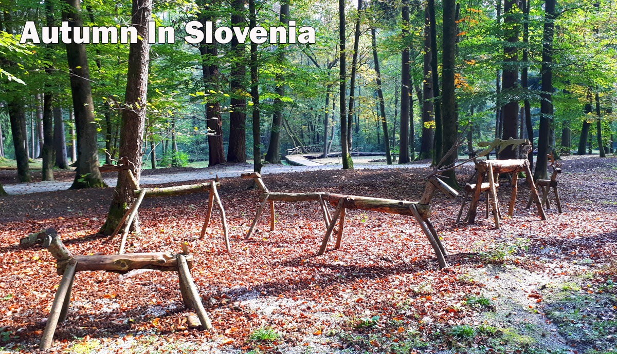 Autumn weather in Slovenia - Sloveniaforyou