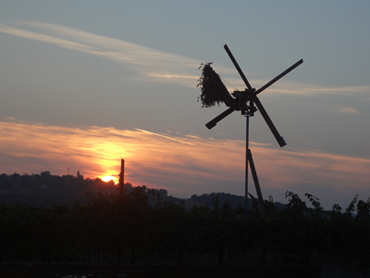 One of the symbols of Slovenia, the Klopotec is found in many vineyards