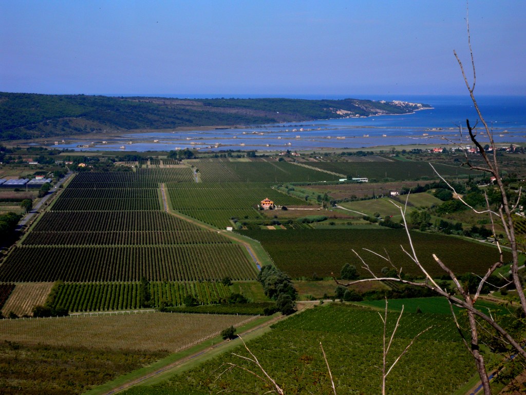 Sweeping views at dusk from the vines to the sea! Sweeping views at dusk from the vines to the sea!