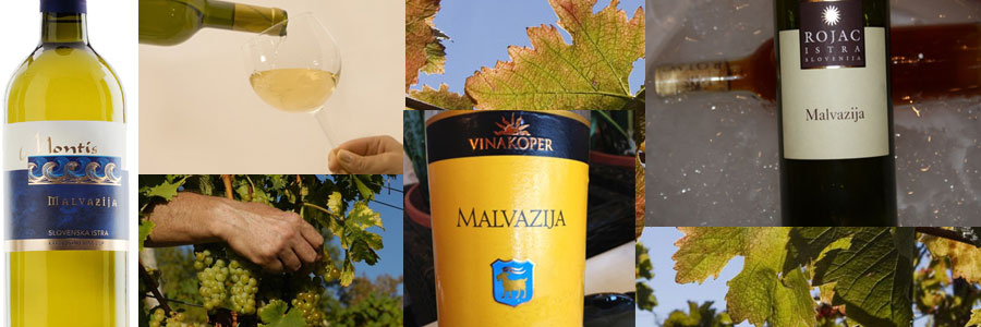 Istra's White Wines - Malvazija Istra's White Wines - Malvazija