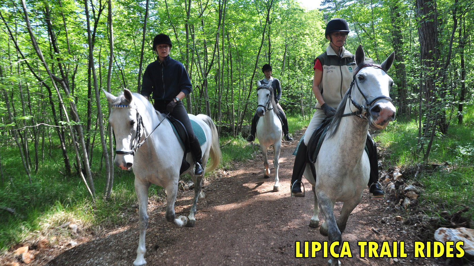 Trail rides in Lipica Lipica, Sloveniaforyou